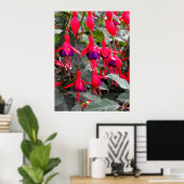 Fuchsia Poster (Thuiskantoor)