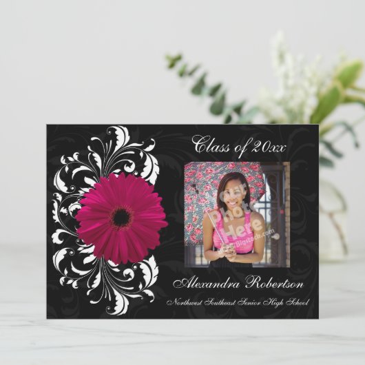 Fuchsia Scroll Gerbera Daisy Afstuderen Kaart (Staand voorkant)