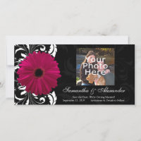 Fuchsia Scroll Gerbera Daisy met Zwart en Wit