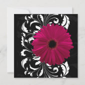 Fuchsia Scroll Gerbera Daisy w/Black en White Kaart (Achterkant)