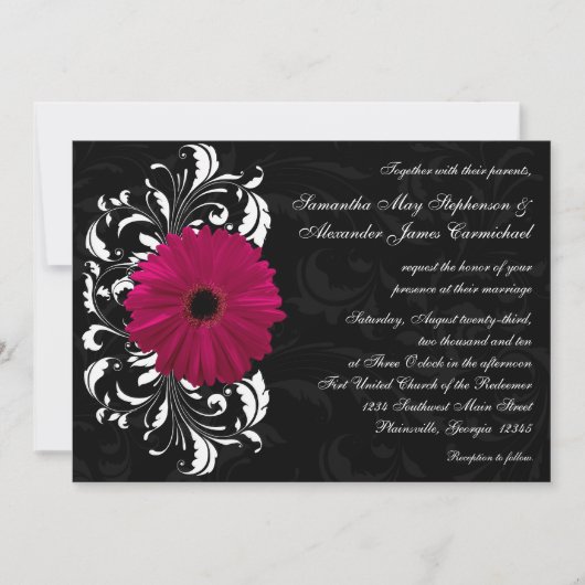 Fuchsia Scroll Gerbera Daisy w/Black en White Kaart (Voorkant)