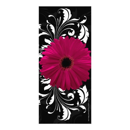 Fuchsia Scroll Gerbera Daisy w/Black en White Reclamekaart (Achterkant)