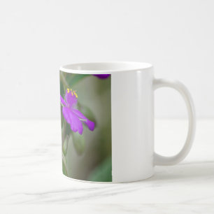 Fuchsia Spiderwort Twins Wildflower Gifts apparel Koffiemok