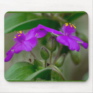 Fuchsia Spiderwort Twins Wildflower Gifts apparel Muismat