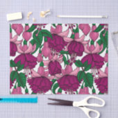 Fuchsia Tissuepapier (Craft)