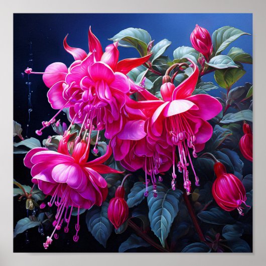 Fuchsia waterverf Poster (Voorkant)