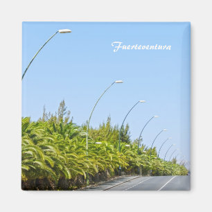 Fuerteventura Magneet