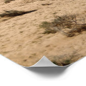 Fuerteventura Poster (Hoek)