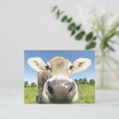 Fuessen, Beieren, Duitsland Briefkaart (Staand voorkant)