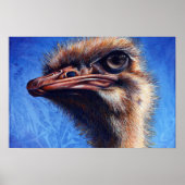 Fugley Ostrich Print (Voorkant)