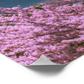 Fuji Mountain en Cherry Blossom in Spring Japan Poster (Hoek)
