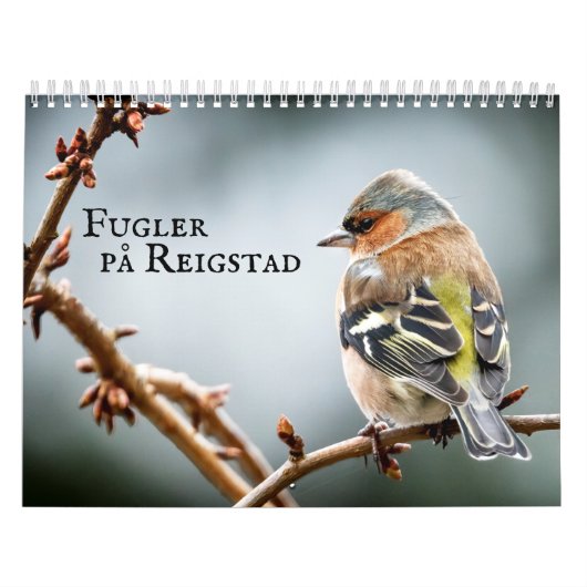 Fulger på Reigstad - Kalender 2021 (Hoes)