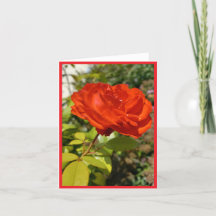Full Bloom Red Rose Note Kaart