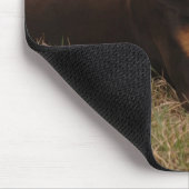Full Color Red en Rust Doberman Pinscher Muismat (Hoek)