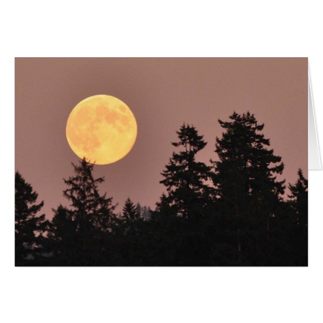 Full Moon August 2013 - Frameable Art Card (Voorkant Horizontaal)