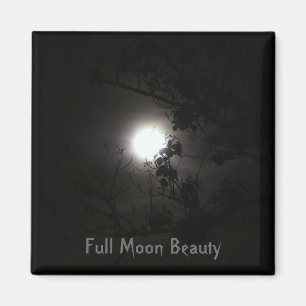 Full Moon Beauty Magneet