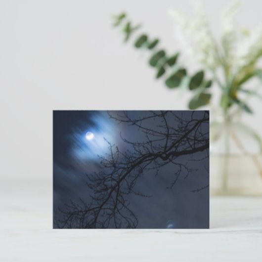 Full Moon in Night Sky, Ohio Briefkaart (Staand voorkant)