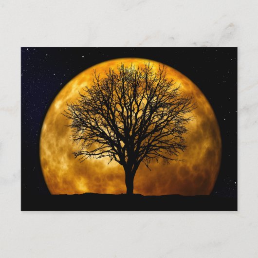 Full Moon Midnight Briefkaart (Voorkant)