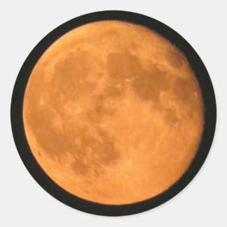 Full Moon Oranje Harvest of Halloween Ronde Sticker