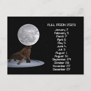 Full Moon Walrus Calendar 2023 Briefkaart