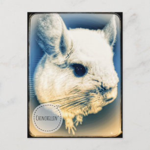 FullSizeRender Chinchilline Briefkaart