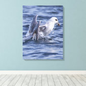 Fulmar natuur foto canvas print (Insitu (Houten vloer))