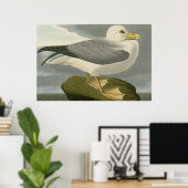Fulmar Petrel Poster (Thuiskantoor)
