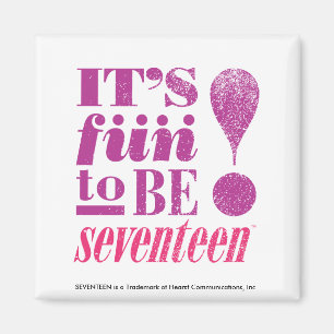 Fun. 2 B 17-Paars Magneet