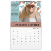 Fun Animal Facts Calendrier 2025 (Mar 2027)