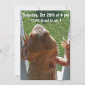 Fun Bearded Dragon Birthday Party Invitation Kaart (Achterkant)