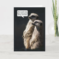 Fun Birthday Card With Meerkats - Humour
