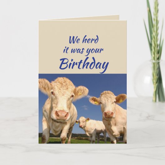 Fun Birthday uit US Koe Animal Humor Kaart (Voorkant)