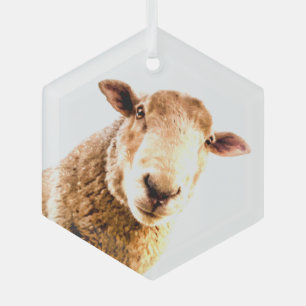 Fun Boerderij Animal Sheep Glas Ornament