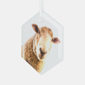Fun Boerderij Animal Sheep Glas Ornament (Voorkant links)
