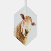 Fun Boerderij Animal Sheep Glas Ornament (Voorkant Rechts)