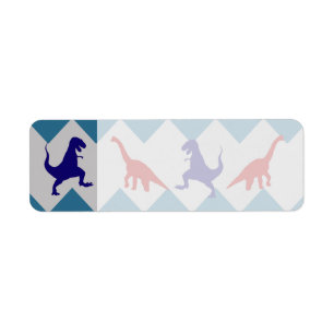 Fun Boys Dinosaurs Red Blue Chevron Pattern Etiket