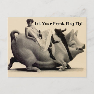 Fun Briefkaart laat je Freak vliegen!