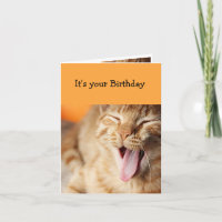 Fun Cake Frosting likken tong Cat Animal Humor