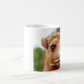Fun Camel Mok: Haat me niet omdat ik mooi ben Koffiemok (Center)