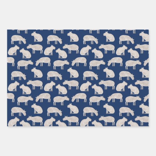 Fun Capybara Inpakpapier Vel (Voorkant)