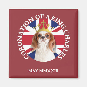 Fun CORONATION OF A King Charles Spaniel Magneet
