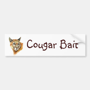 Fun "Cougar Bait" met Waterverf Animal Bumpersticker