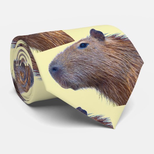 Fun Cravate Capybara (Roulé)