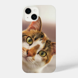 Fun curieuze kat Kitten Pet Animal iPhone 14 Hoesje
