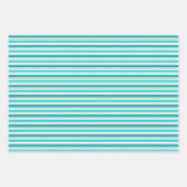 Fun Cute Rustic Little Birds Houses Stripes Inpakpapier Vel (Voorkant 2)