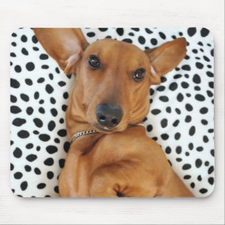 Fun Dachshund Mousepad Muismat