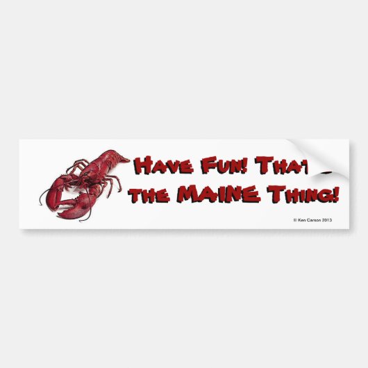 Fun... Dat is het MAINE ding. Bumpersticker (Voorkant)