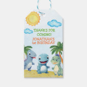 Fun Dinosaurs, Boy's birthday Cadeaulabel (Voorkant)