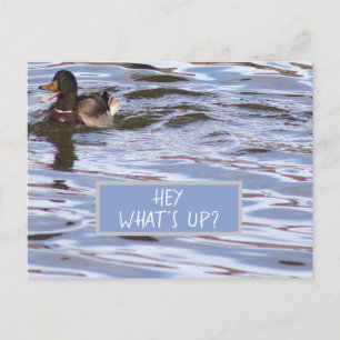Fun Duck Briefkaart