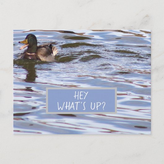 Fun Duck Briefkaart (Voorkant)